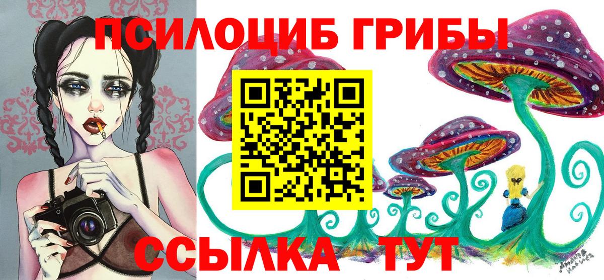 Артём  Псилоцибиновые грибы мухоморы  Вход с VPN  купить наркоту  Псилоцибиновые грибы Magic Shrooms 